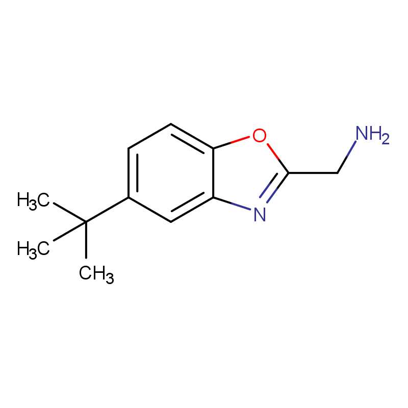 1-(5-tert-butyl-1,3-benzoxazol-2-yl)methanamine(SALTDATA: HCl)